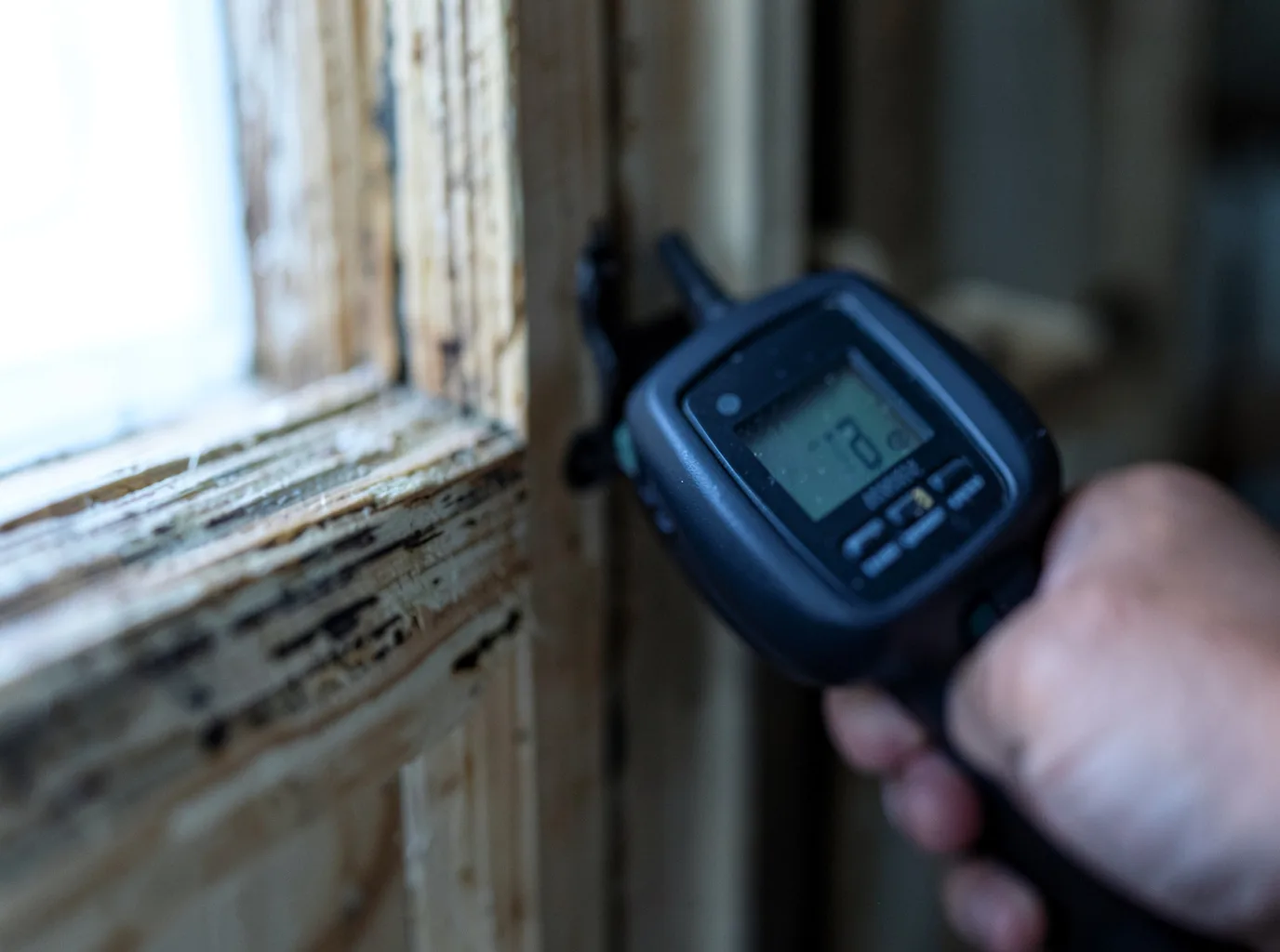 Moisture Inspection And Documentation in Roanoke Rapids, NC